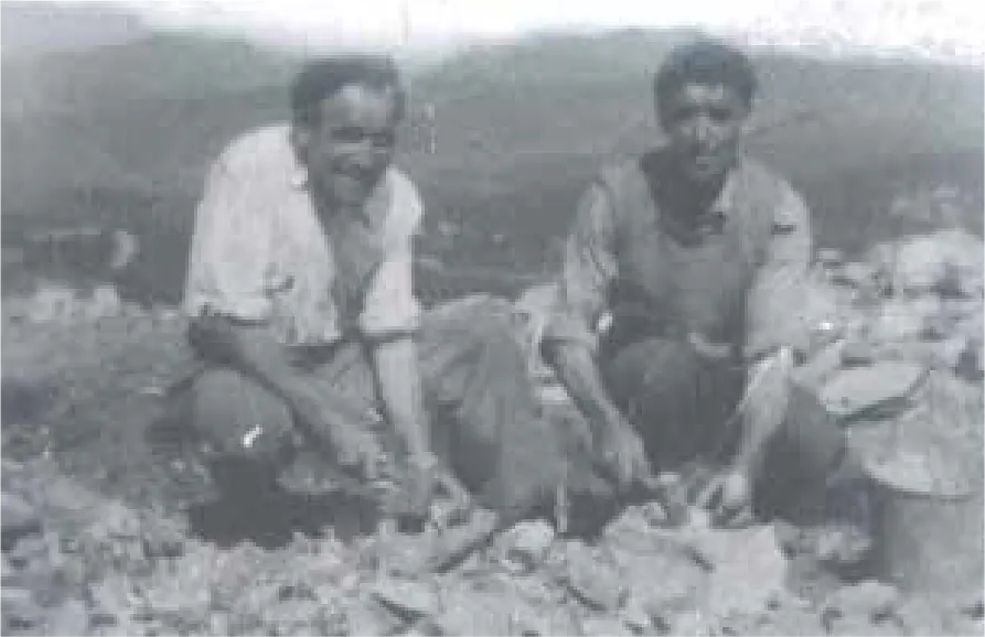 Buscando mineral en San Finx