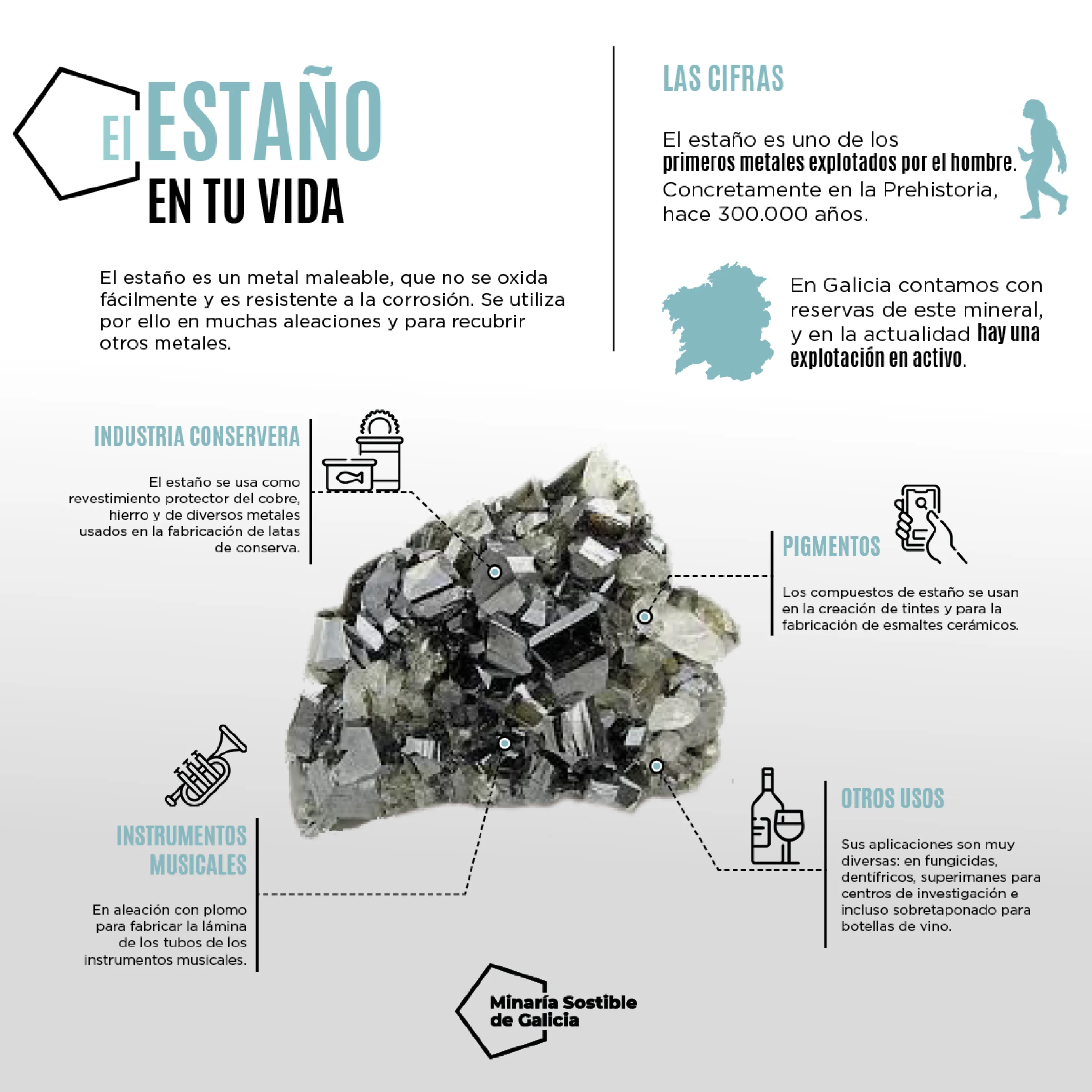 EL ESTAÑO Y EL WOLFRAMIO EN TU VIDA