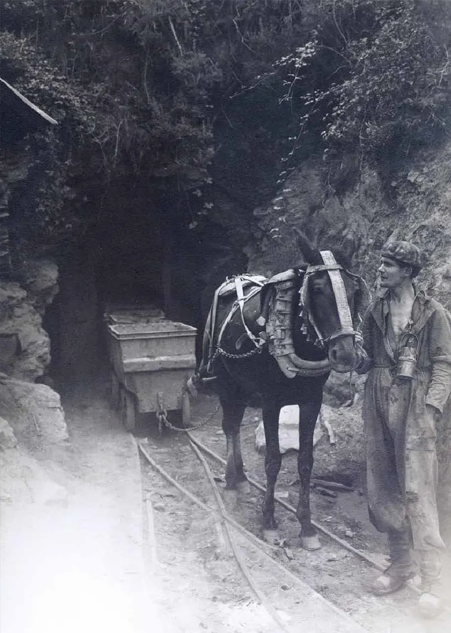 Mina de Fontao (Fonte: Asociación Buxa)