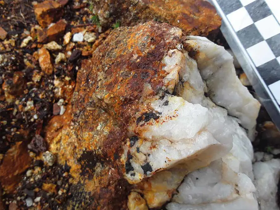 Wolframita da Mina de Vilanova (A Veiga)