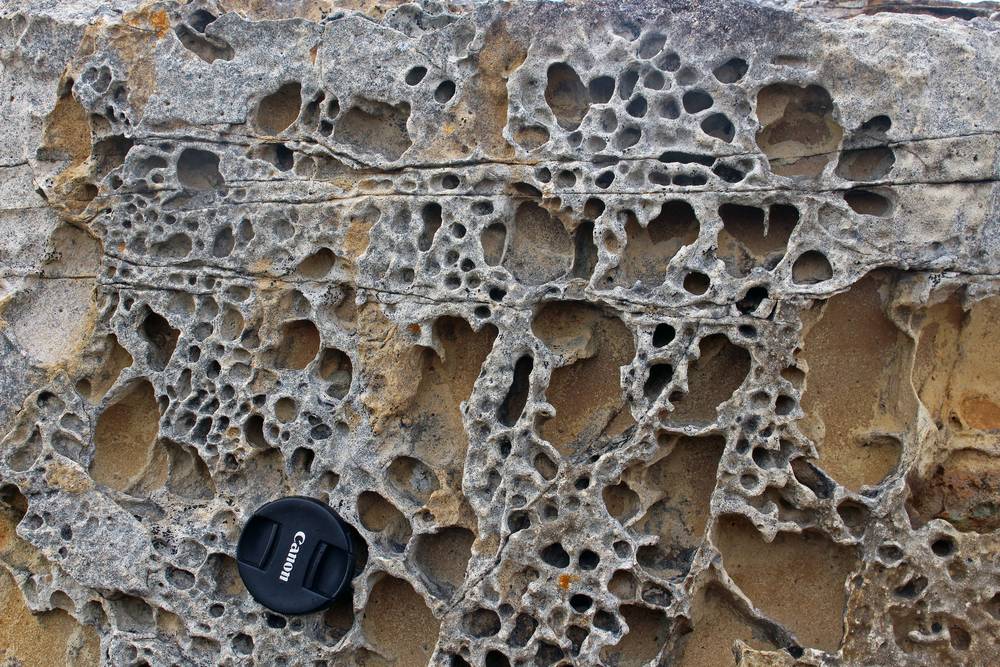 Espectacular ejemplo de erosión alveolar en aplitas. (Autor: Francisco Canosa Martínez, 2018)