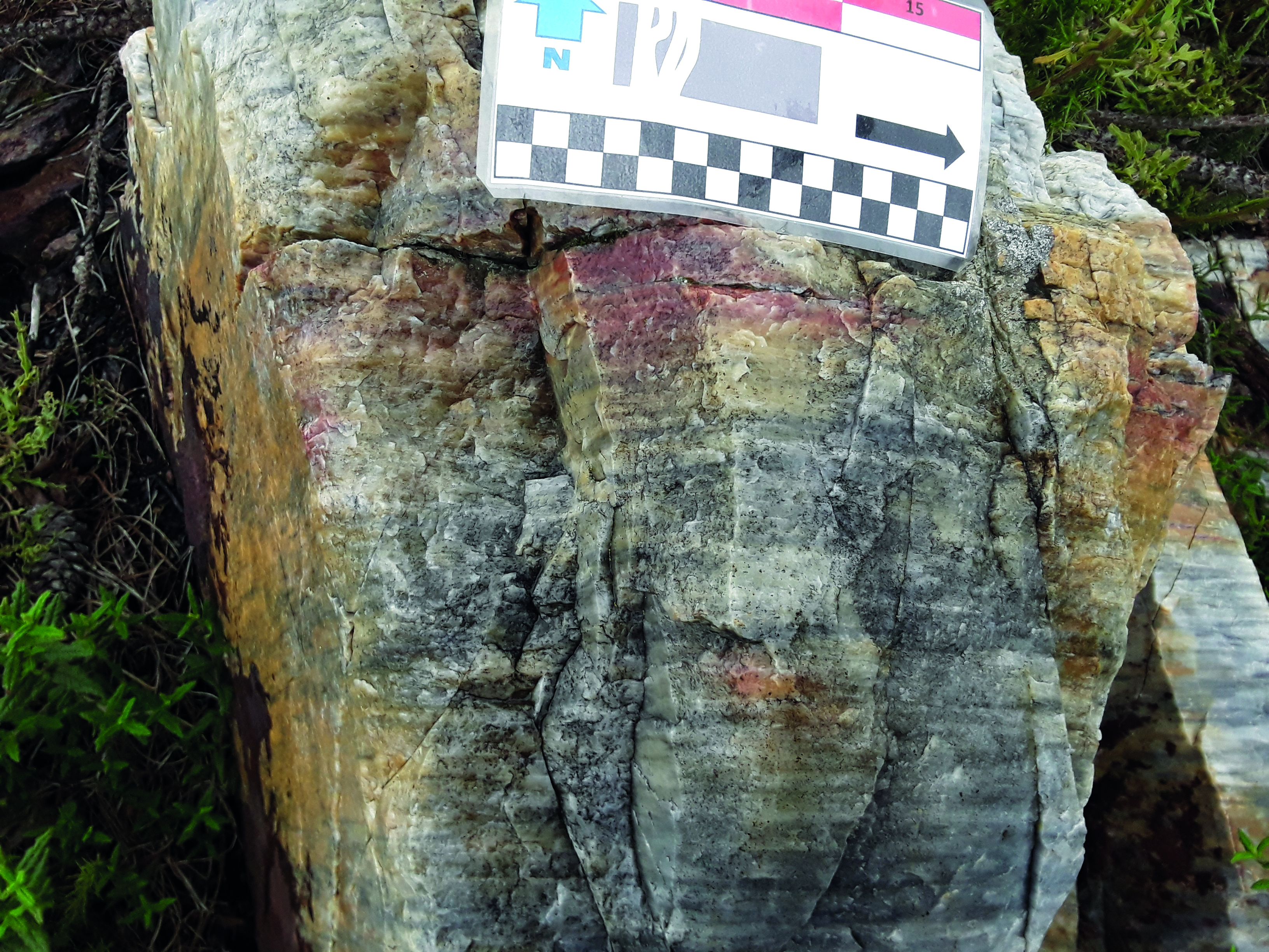 Cuarcita Armoricana. Esta roca se estudió por primera vez en la región francesa de Armórica, de ahí su nombre.