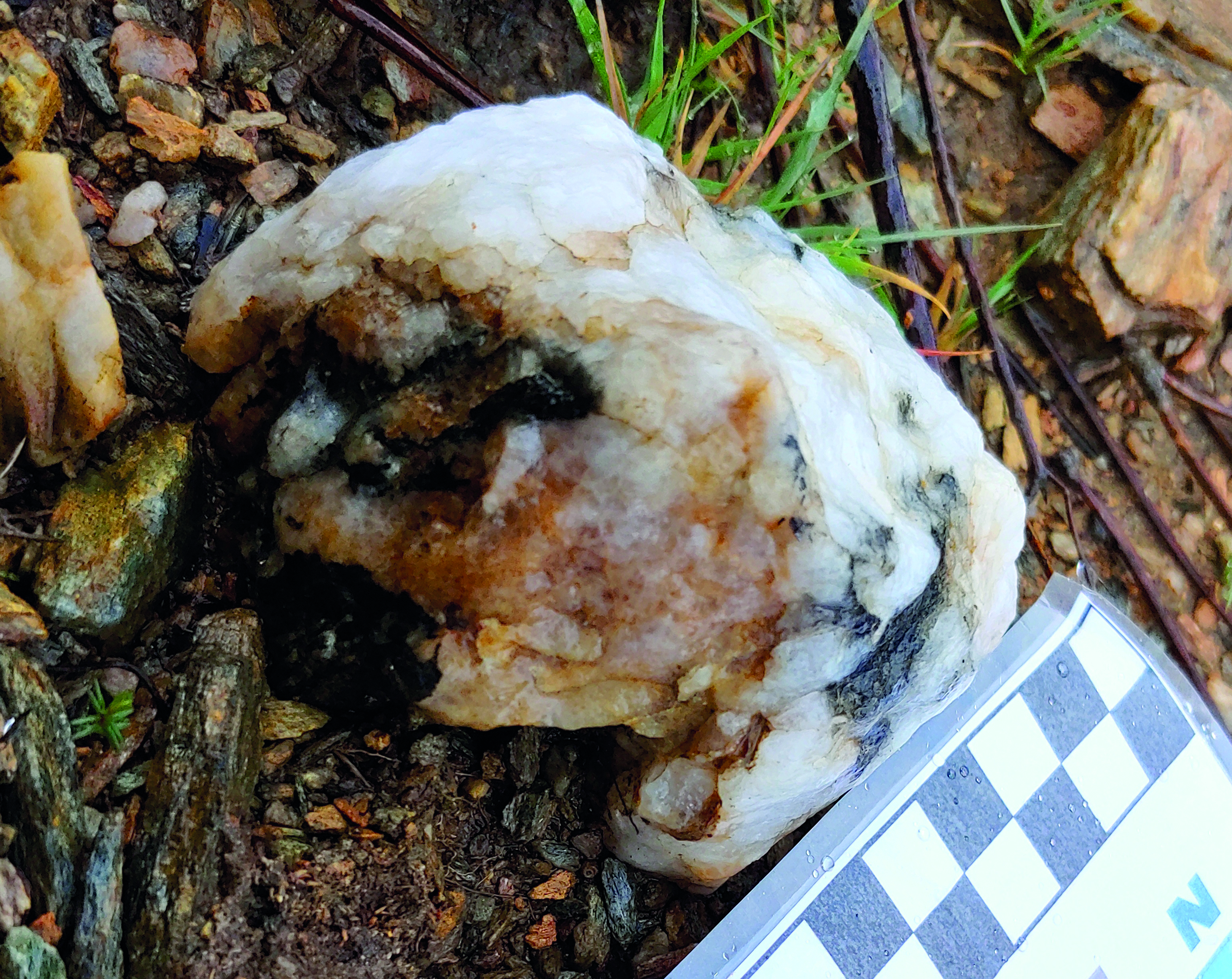 Canto de cuarzo blanco mineralizado en el cortafuegos de Marcofán.