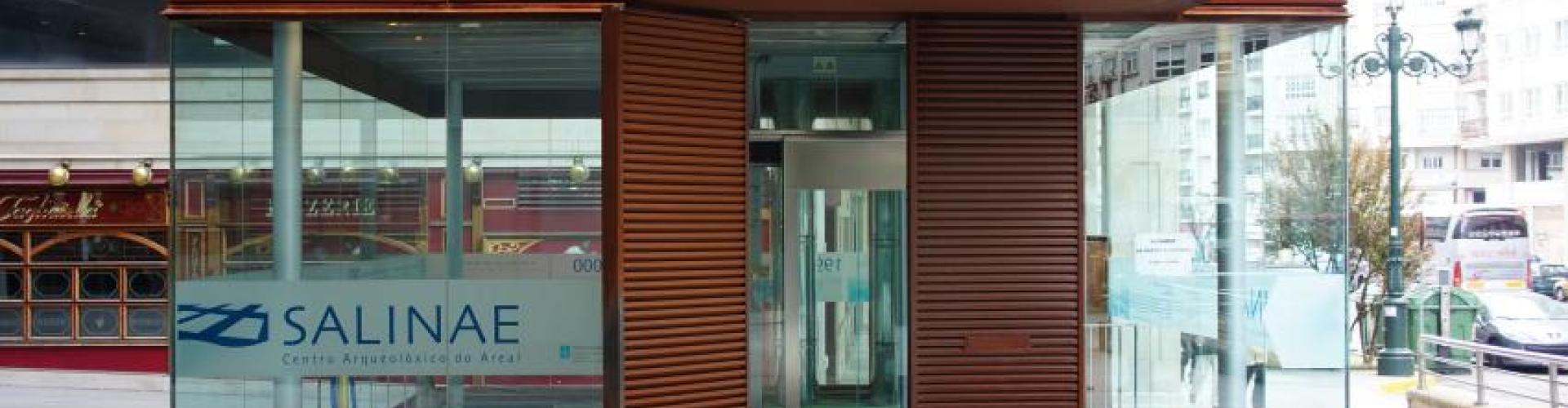 portada salinas areal