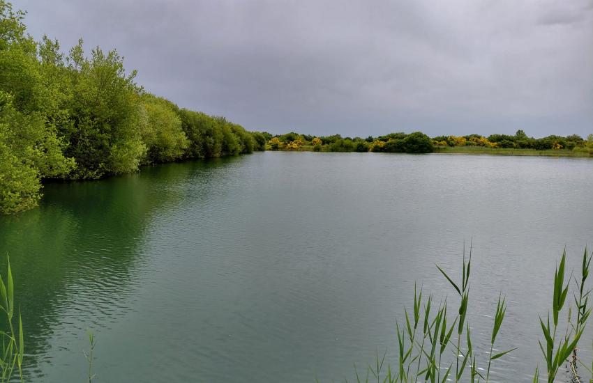 Laguna Limia