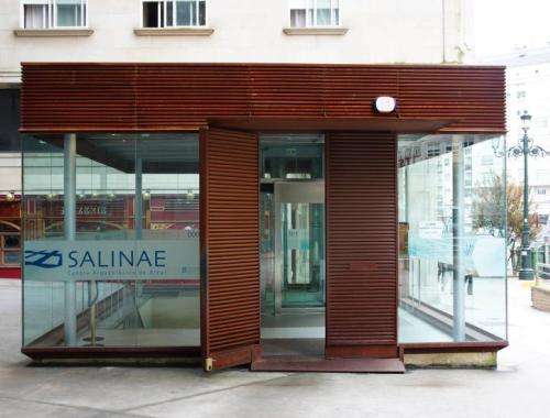 portada salinas areal