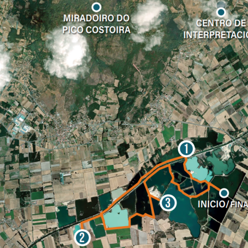 Captura de mapa