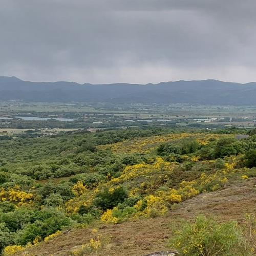 Pico Costoira